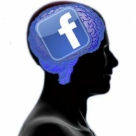 273774-facebook-brain